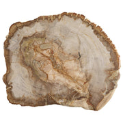 Petrified Wood Platter 12 to 14 Inches - Figaro 1943