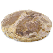 Petrified Wood Platter 12 to 14 Inches - Figaro 1943