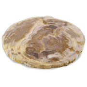 Petrified Wood Platter 8 to 10 Inches - Figaro 1943