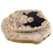 Petrified Wood Platter 12 to 14 Inches - Figaro 1943